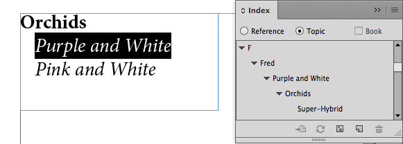 Index - second entry 2.jpg